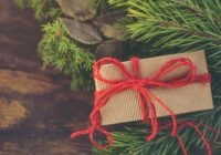 Tipy: EKO dárky, které potěší pod vánočním stromečkem