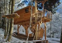 Chybí vám příroda? Je nejvyšší čas ubytovat se v luxusních domech na stromě